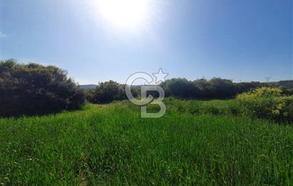 ÇANAKKALE/BİGA BEKİRLİ KÖYÜNDE SATILIK 12.853 M² TARLA