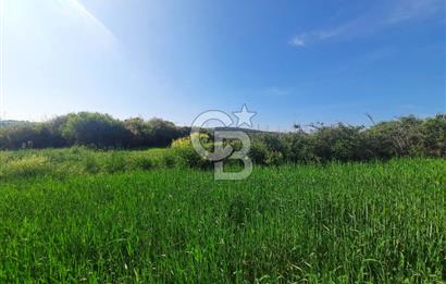 ÇANAKKALE/BİGA BEKİRLİ KÖYÜNDE SATILIK 12.853 M² TARLA