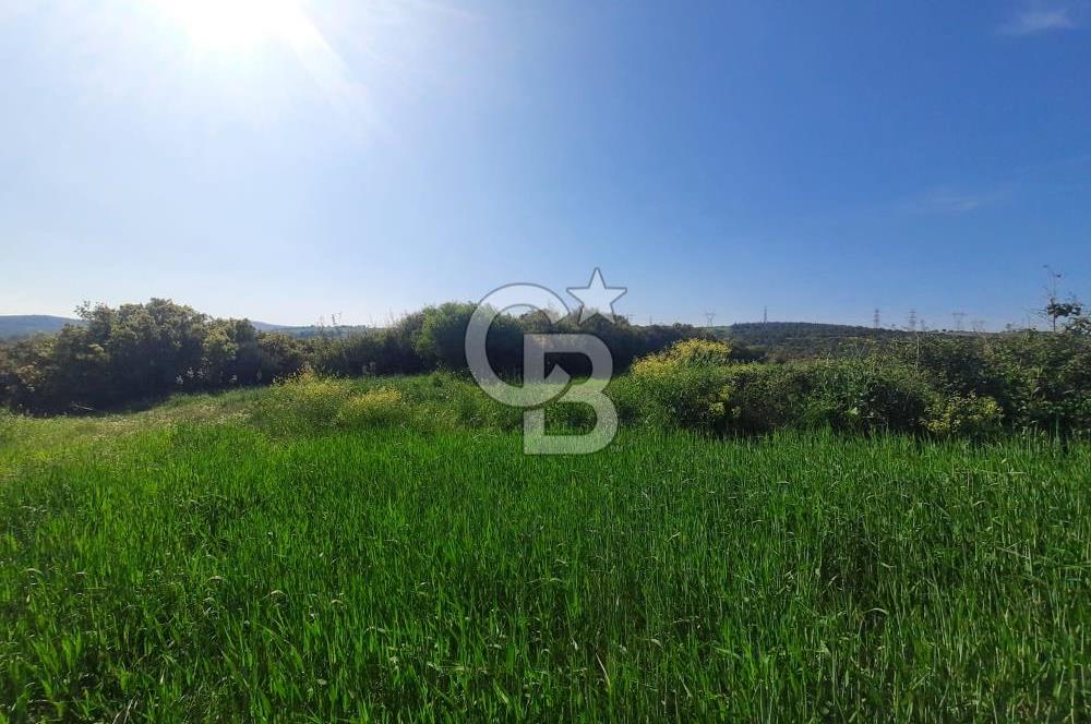 ÇANAKKALE/BİGA BEKİRLİ KÖYÜNDE SATILIK 12.853 M² TARLA