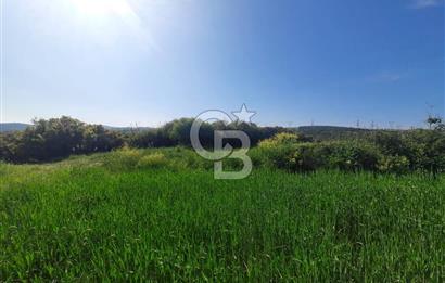 ÇANAKKALE/BİGA BEKİRLİ KÖYÜNDE SATILIK 12.853 M² TARLA