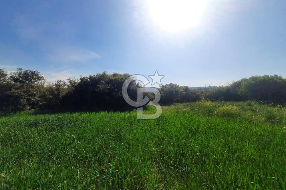 ÇANAKKALE/BİGA BEKİRLİ KÖYÜNDE SATILIK 12.853 M² TARLA