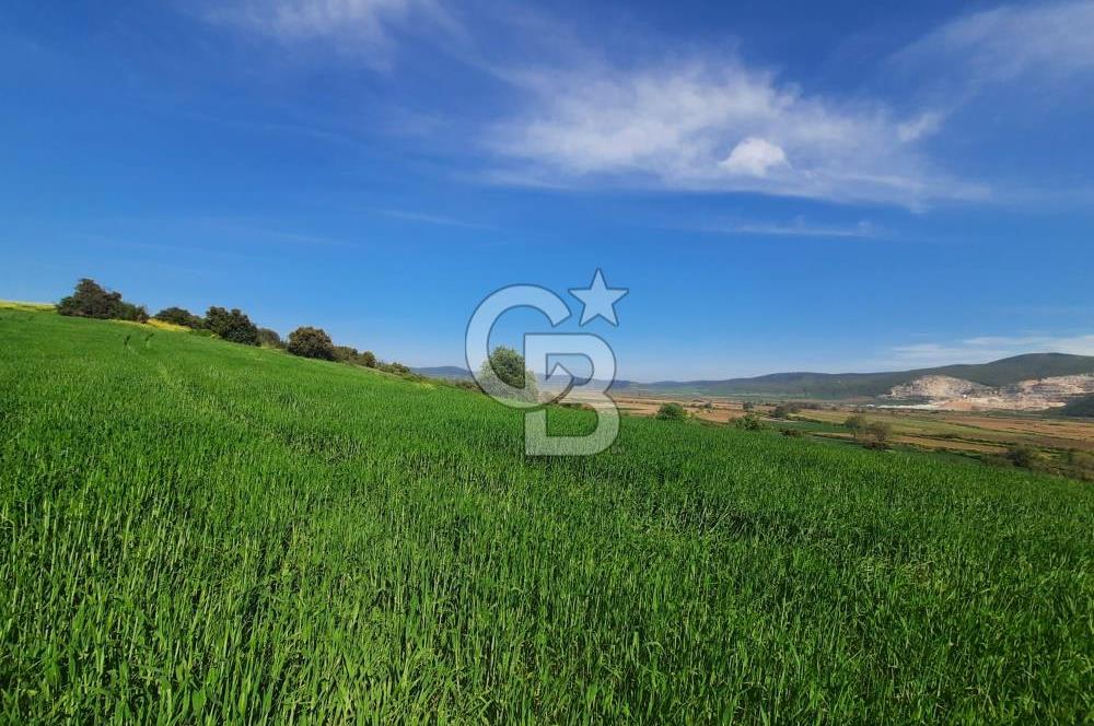 ÇANAKKALE/BİGA BEKİRLİ KÖYÜNDE SATILIK 12.853 M² TARLA
