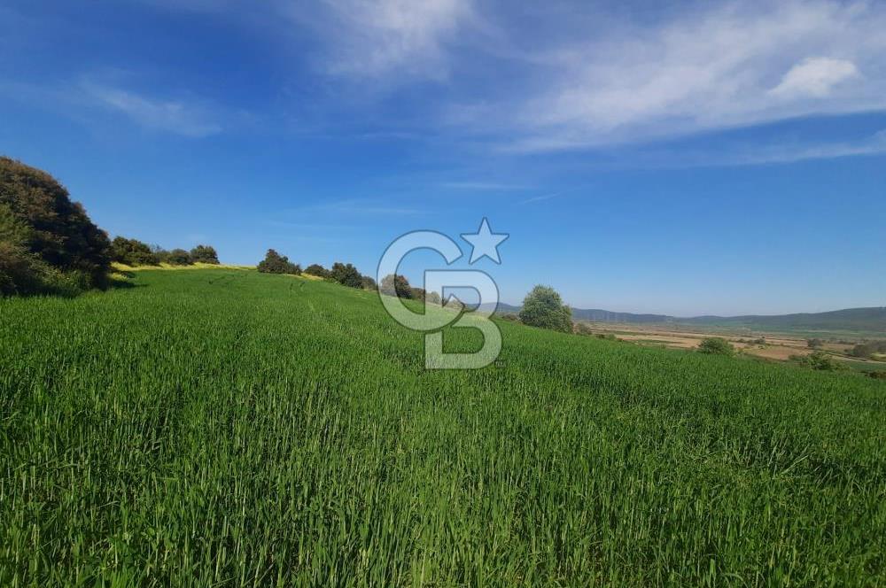 ÇANAKKALE/BİGA BEKİRLİ KÖYÜNDE SATILIK 12.853 M² TARLA