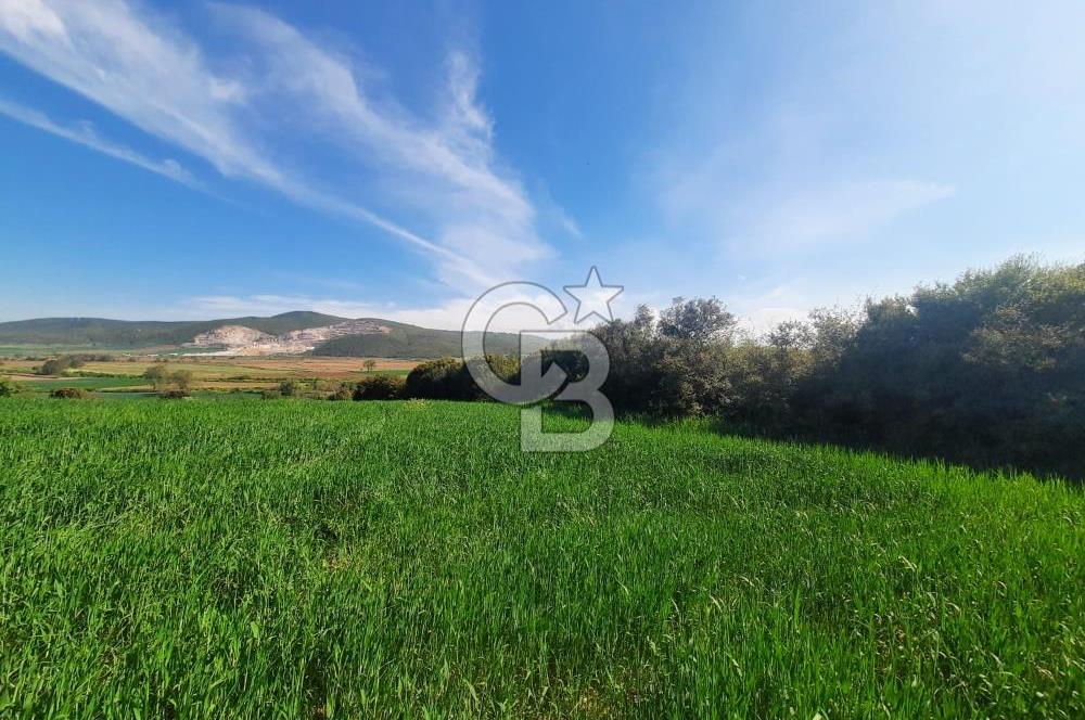 ÇANAKKALE/BİGA BEKİRLİ KÖYÜNDE SATILIK 12.853 M² TARLA