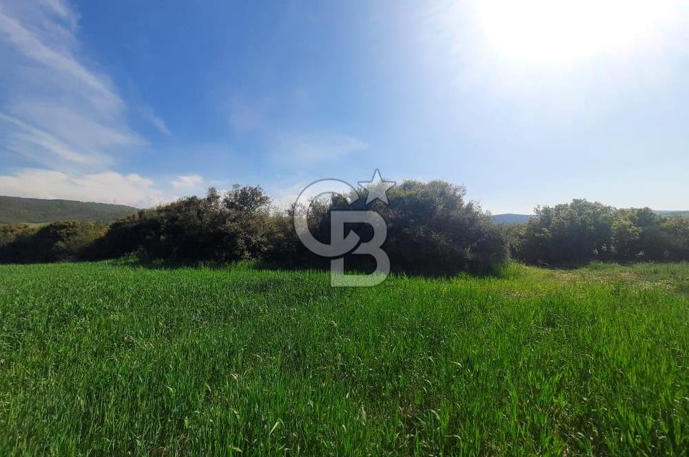 ÇANAKKALE/BİGA BEKİRLİ KÖYÜNDE SATILIK 12.853 M² TARLA