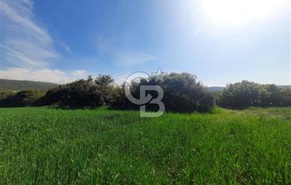 ÇANAKKALE/BİGA BEKİRLİ KÖYÜNDE SATILIK 12.853 M² TARLA