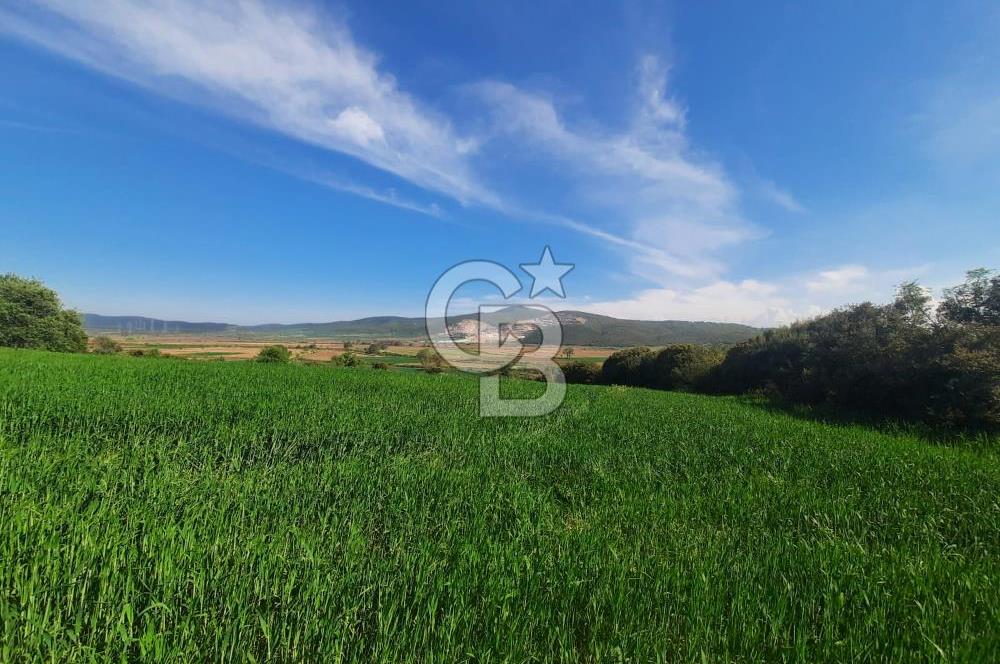 ÇANAKKALE/BİGA BEKİRLİ KÖYÜNDE SATILIK 12.853 M² TARLA