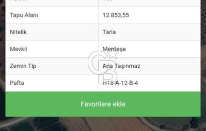 ÇANAKKALE/BİGA BEKİRLİ KÖYÜNDE SATILIK 12.853 M² TARLA