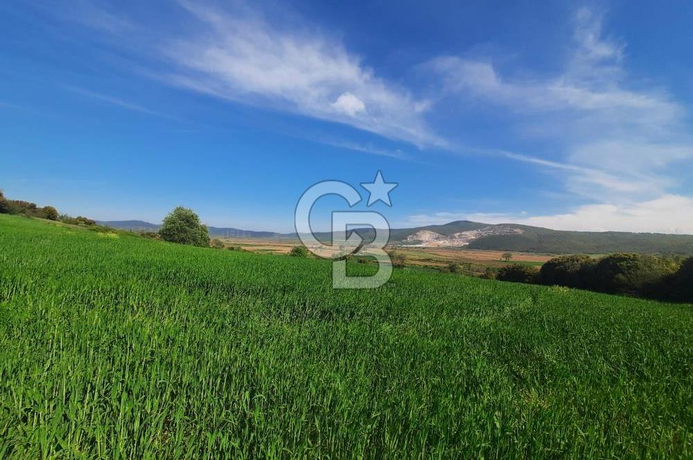ÇANAKKALE/BİGA BEKİRLİ KÖYÜNDE SATILIK 12.853 M² TARLA