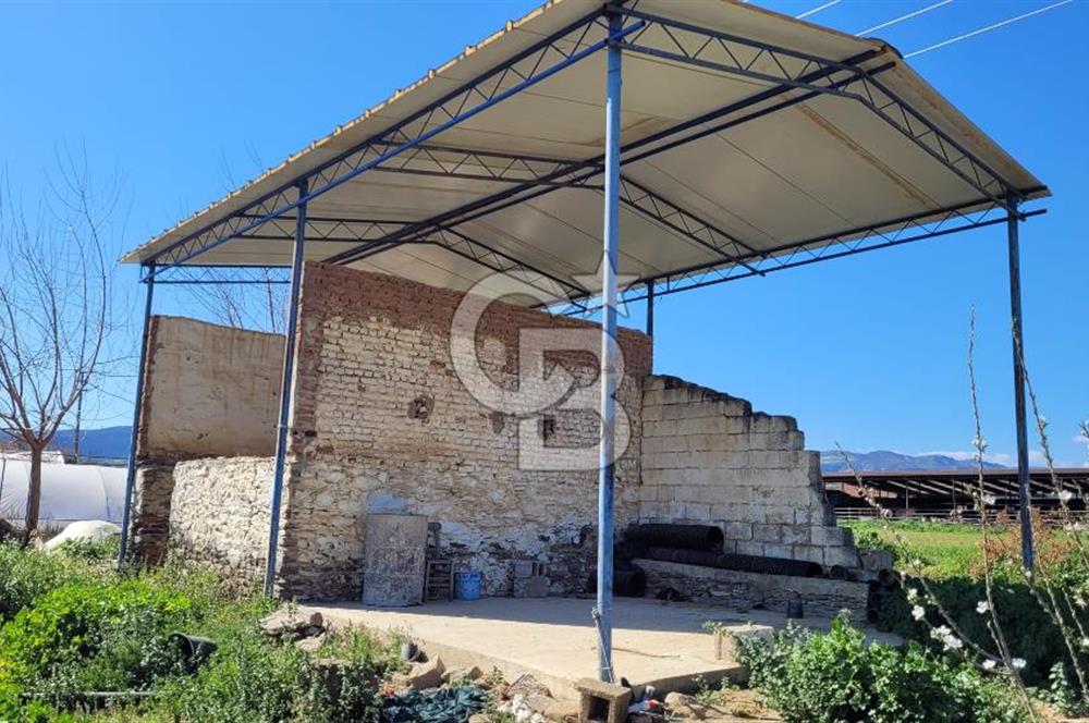 Sekiköy verimli tarım arazisi 