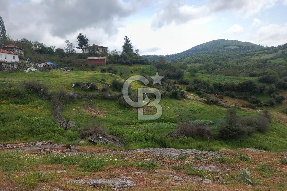ÇANAKKALE / LAPSEKİ/ KIRCALAR DA SATILIK ARSA