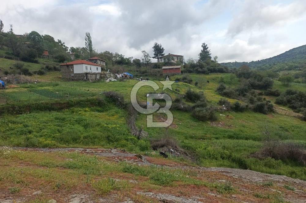 ÇANAKKALE / LAPSEKİ/ KIRCALAR DA SATILIK ARSA