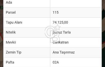 COLDWELL BANKER OMEGA'DAN CANKATRAN'DA SATILIK FIRSAT ARSA