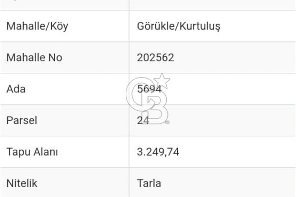GÖRÜKLE KURTULUŞ MERA BÖLGESİNDE SATILIK TARLA