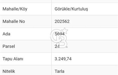 GÖRÜKLE KURTULUŞ MERA BÖLGESİNDE SATILIK TARLA