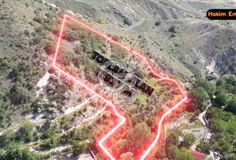 AYAŞ ARIKLAR (11,937 M2) SATILIK BAĞ