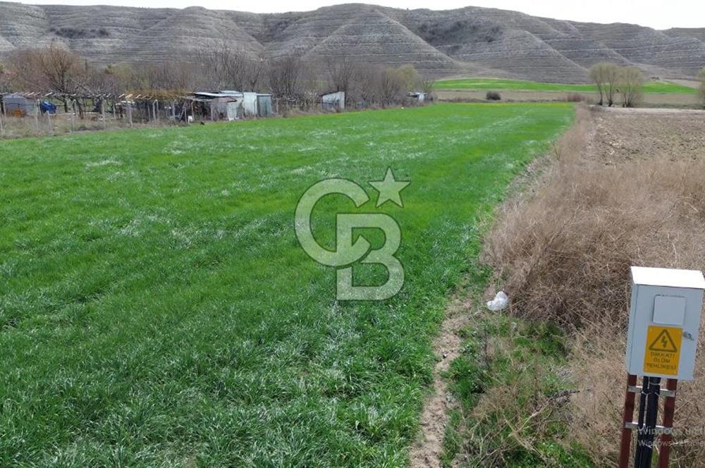 AYAŞ - BEYPAZARI ANA YOLUNA CEPHELİ 6.507 M2 SATILIK TARLA