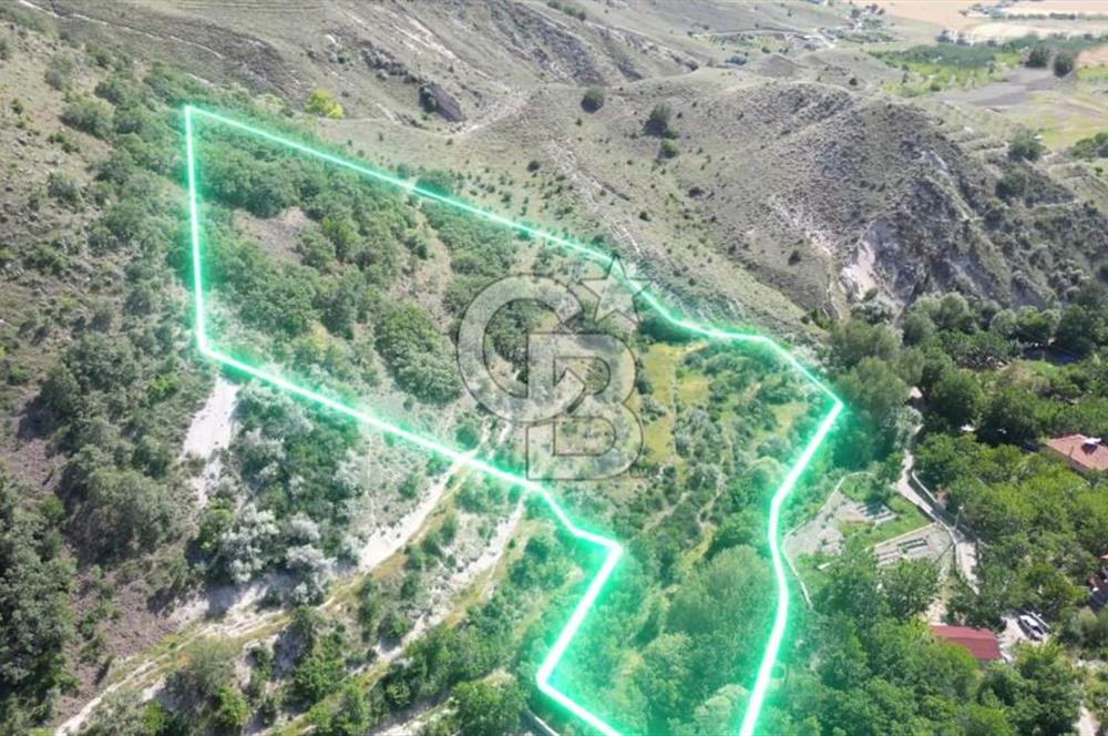 AYAŞ ARIKLAR (11,937 M2) SATILIK BAĞ