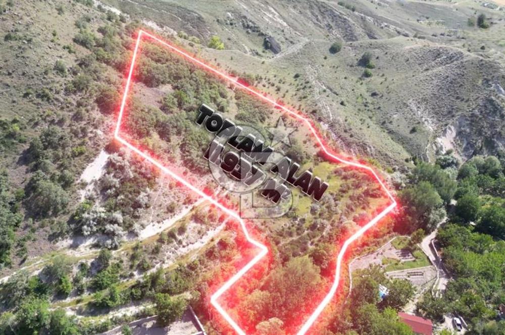 AYAŞ ARIKLAR (11,937 M2) SATILIK BAĞ