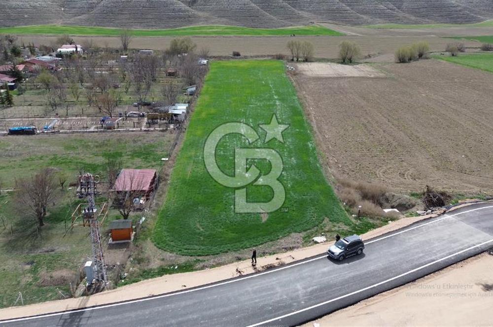 AYAŞ - BEYPAZARI ANA YOLUNA CEPHELİ 6.507 M2 SATILIK TARLA