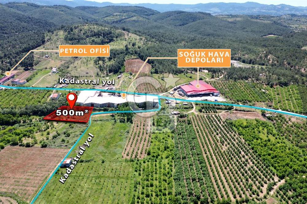 ÇANAKKALE BAYRAMİÇ EVCİLER KÖYÜ'NDE 500m²﻿ FIRSAT SATILIK ARAZİ