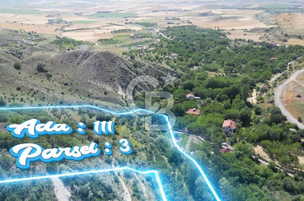 AYAŞ ARIKLAR (11,937 M2) SATILIK BAĞ