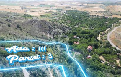 AYAŞ ARIKLAR (11,937 M2) SATILIK BAĞ