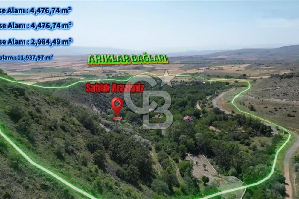 AYAŞ ARIKLAR (11,937 M2) SATILIK BAĞ
