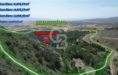 AYAŞ ARIKLAR (11,937 M2) SATILIK BAĞ