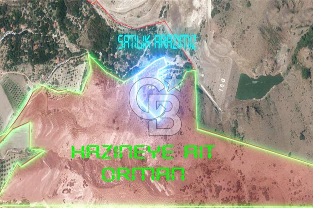 AYAŞ ARIKLAR (11,937 M2) SATILIK BAĞ