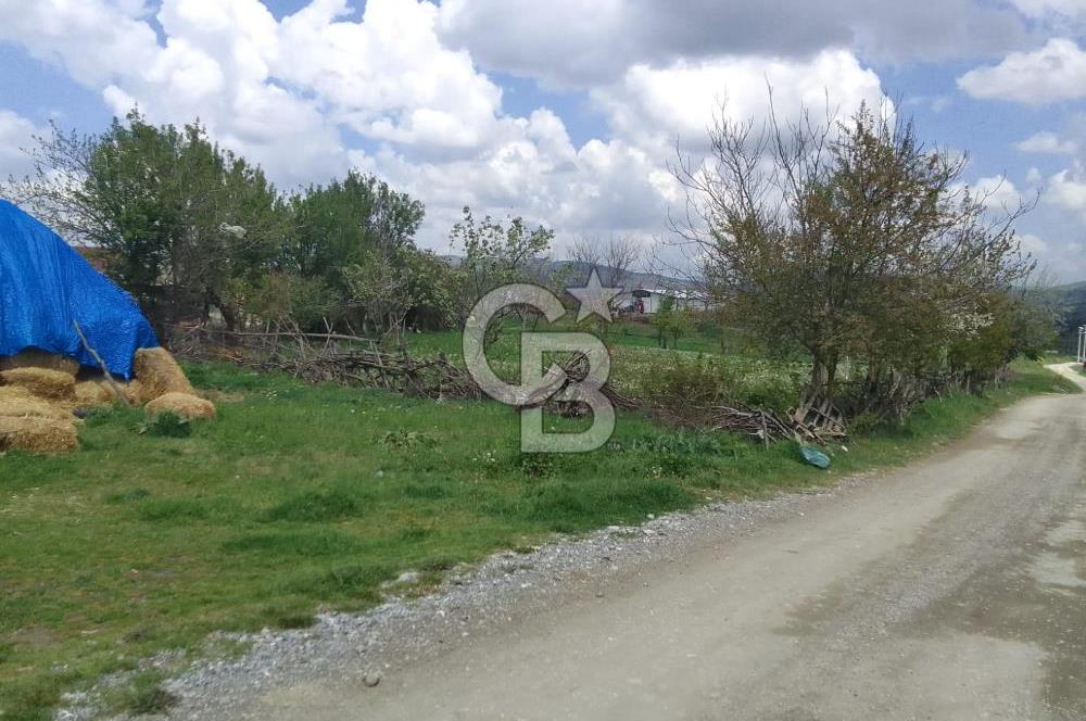 CB ELEGANCE 'DEN PAZARYERİNDE SATILIK ÇİFTLİK