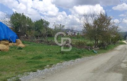 CB ELEGANCE 'DEN PAZARYERİNDE SATILIK ÇİFTLİK