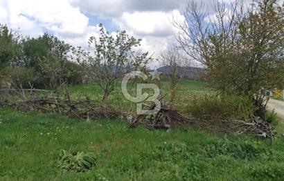 CB ELEGANCE 'DEN PAZARYERİNDE SATILIK ÇİFTLİK