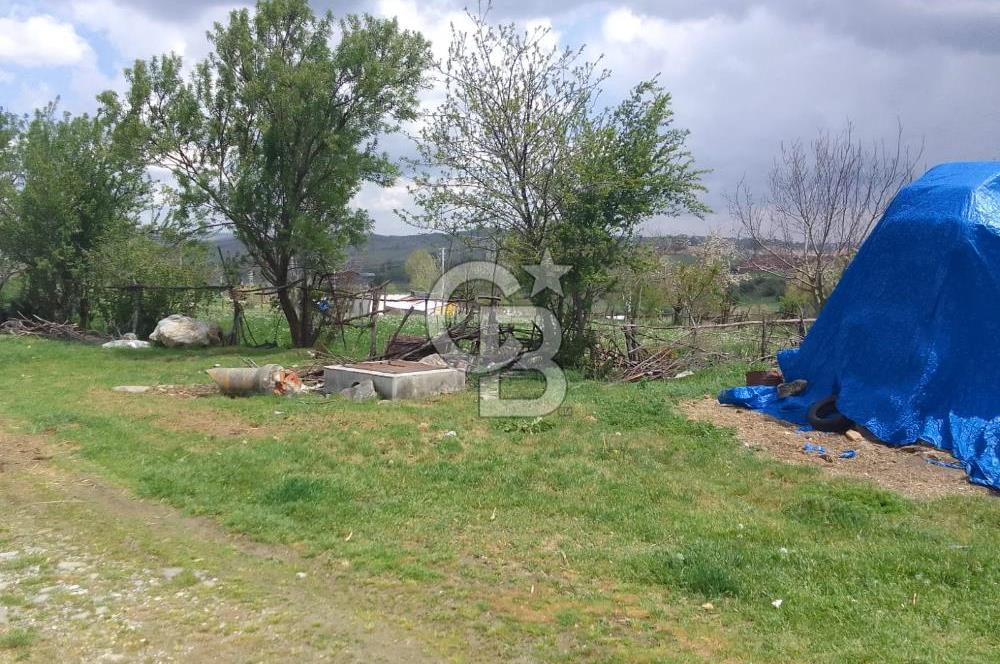 CB ELEGANCE 'DEN PAZARYERİNDE SATILIK ÇİFTLİK