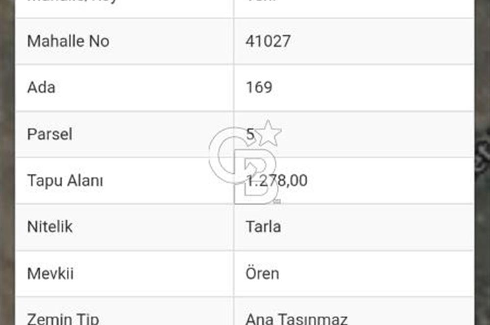CB ELEGANCE 'DEN PAZARYERİNDE SATILIK ÇİFTLİK