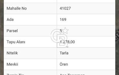 CB ELEGANCE 'DEN PAZARYERİNDE SATILIK ÇİFTLİK