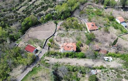 AYAŞ ARIKLAR DUBLEKS BAĞ EVİ VE BAHÇESİ