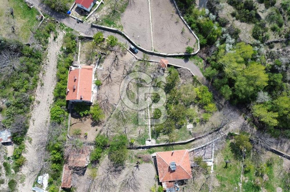 AYAŞ ARIKLAR DUBLEKS BAĞ EVİ VE BAHÇESİ