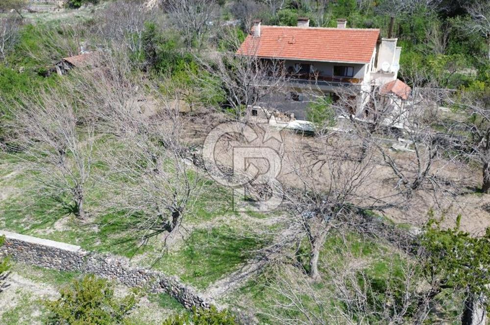 AYAŞ ARIKLAR DUBLEKS BAĞ EVİ VE BAHÇESİ