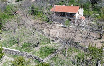 AYAŞ ARIKLAR DUBLEKS BAĞ EVİ VE BAHÇESİ
