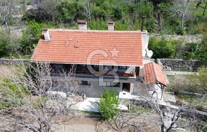 AYAŞ ARIKLAR DUBLEKS BAĞ EVİ VE BAHÇESİ