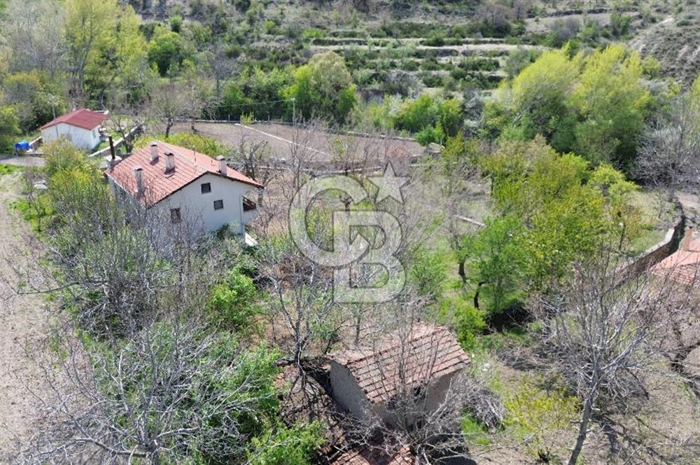 AYAŞ ARIKLAR DUBLEKS BAĞ EVİ VE BAHÇESİ