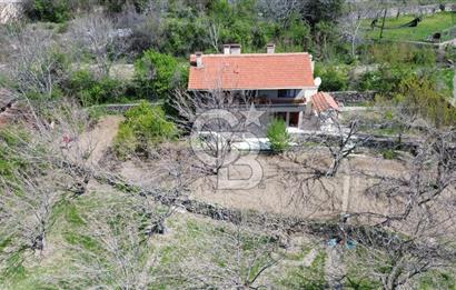 AYAŞ ARIKLAR DUBLEKS BAĞ EVİ VE BAHÇESİ