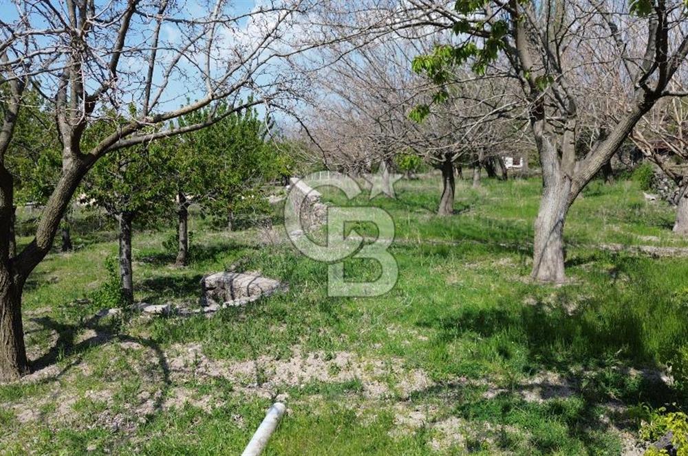 AYAŞ ARIKLAR DUBLEKS BAĞ EVİ VE BAHÇESİ
