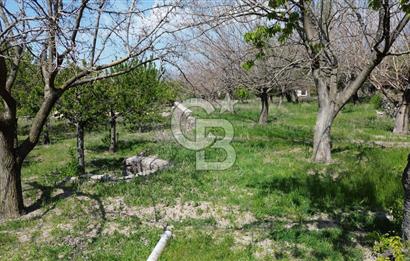 AYAŞ ARIKLAR DUBLEKS BAĞ EVİ VE BAHÇESİ