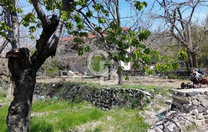AYAŞ ARIKLAR DUBLEKS BAĞ EVİ VE BAHÇESİ