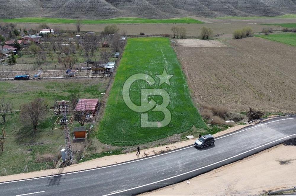 AYAŞ - BEYPAZARI ANA YOLUNA CEPHELİ 6.507 M2 SATILIK TARLA