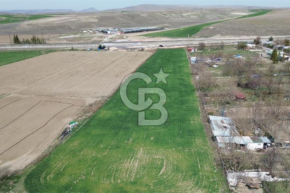 AYAŞ - BEYPAZARI ANA YOLUNA CEPHELİ 6.507 M2 SATILIK TARLA