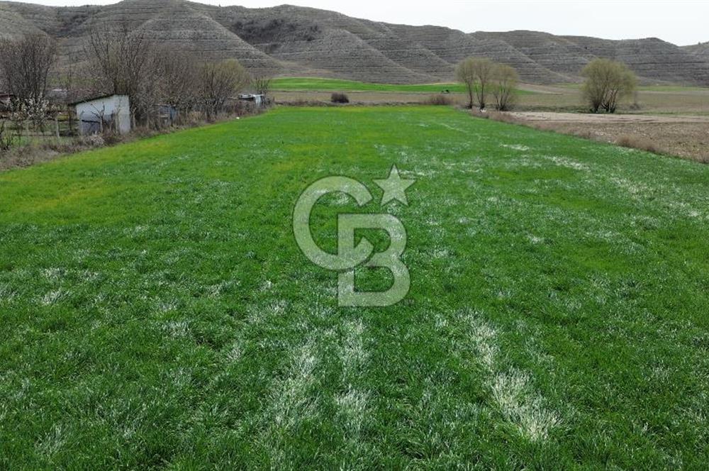 AYAŞ - BEYPAZARI ANA YOLUNA CEPHELİ 6.507 M2 SATILIK TARLA
