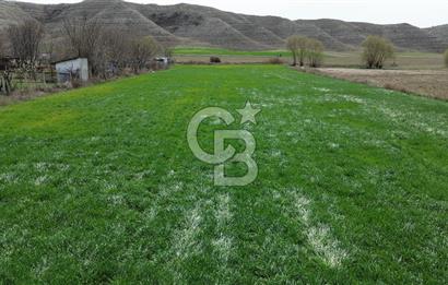 AYAŞ - BEYPAZARI ANA YOLUNA CEPHELİ 6.507 M2 SATILIK TARLA
